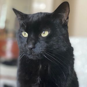 Meet your Posher, Maria